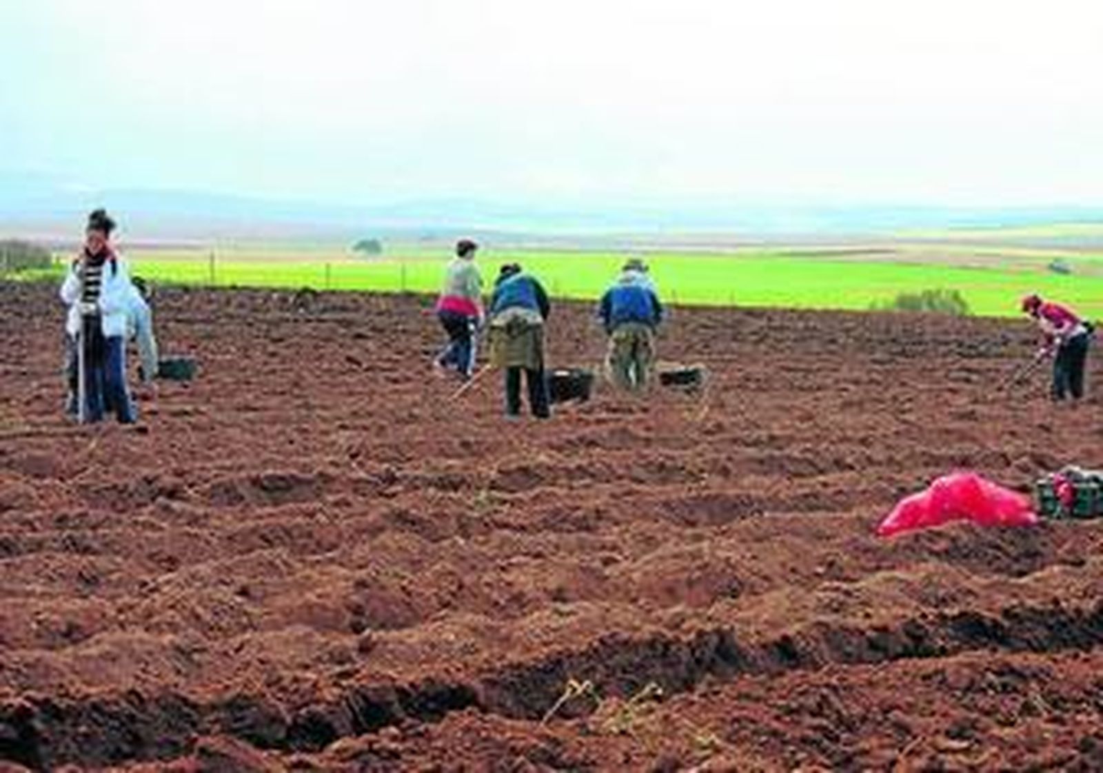 Trabajo en Las Turquillas.