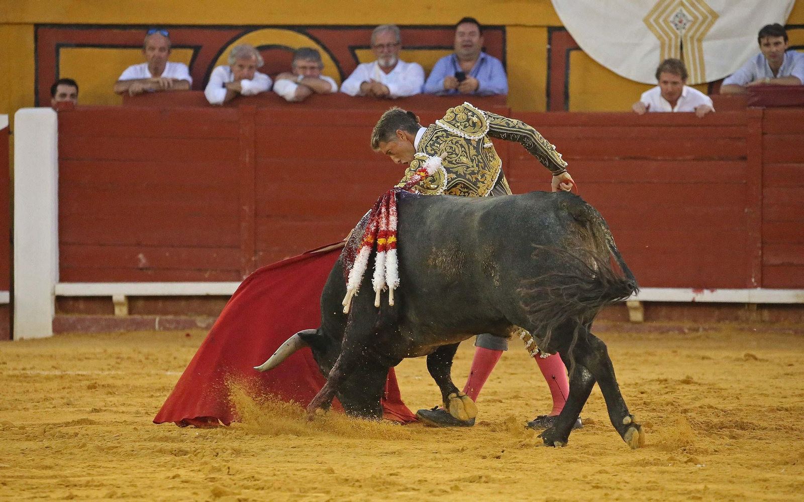 Fotos de la corrida del sábado de la Feria Taurina de Algeciras 2023: Antonio Ferrera, Manuel Escribano y Miguel Ángel Pacheco