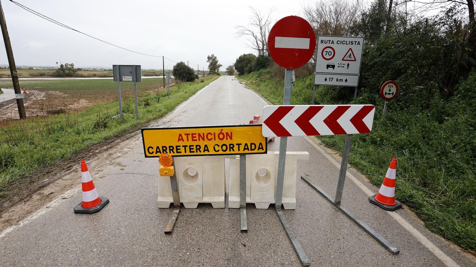 Imágenes del temporal de viento y lluvia en Jerez