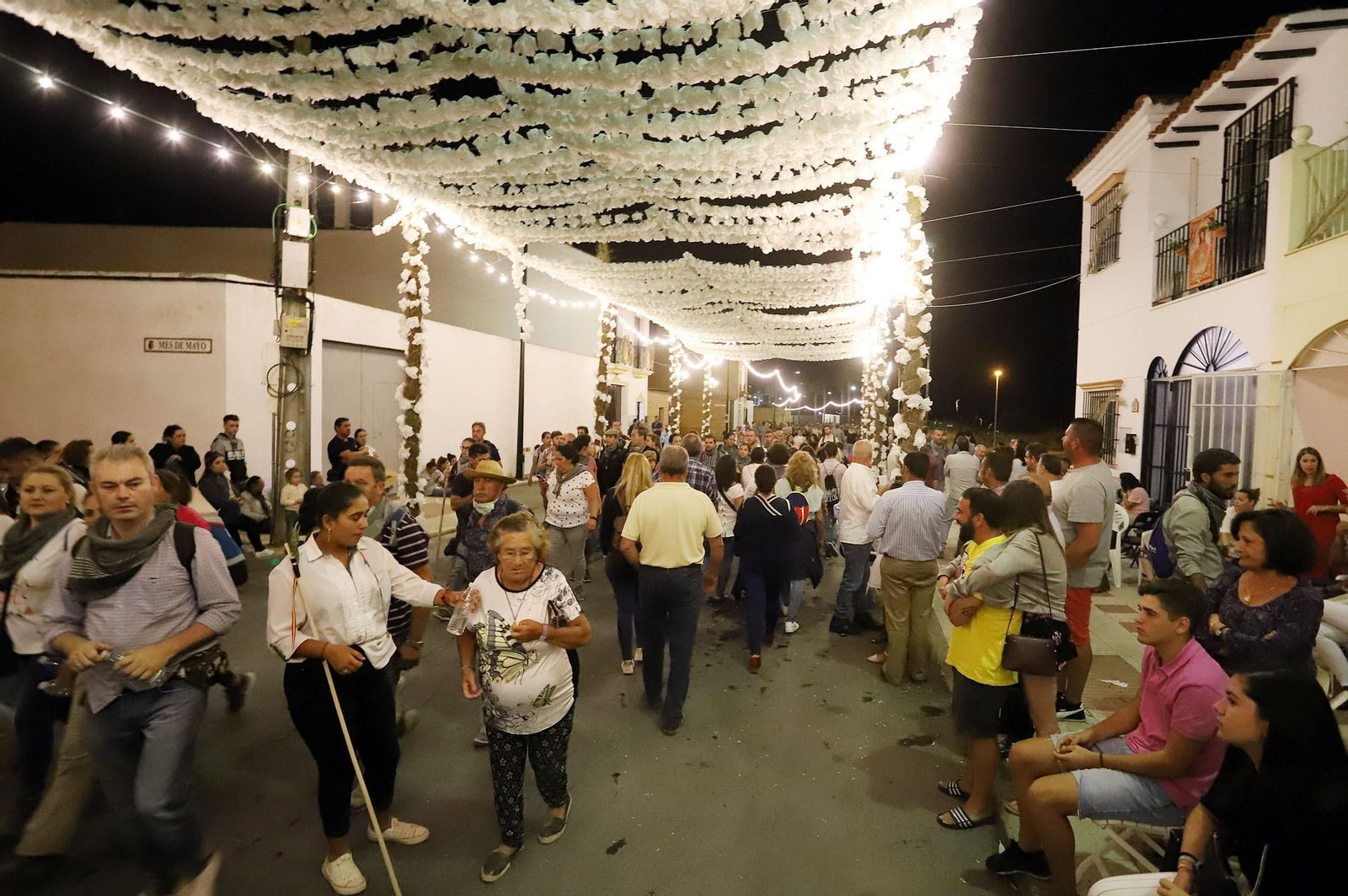Recuerda las imágenes de la Venida de la Virgen del Rocío a Almonte en 2019
