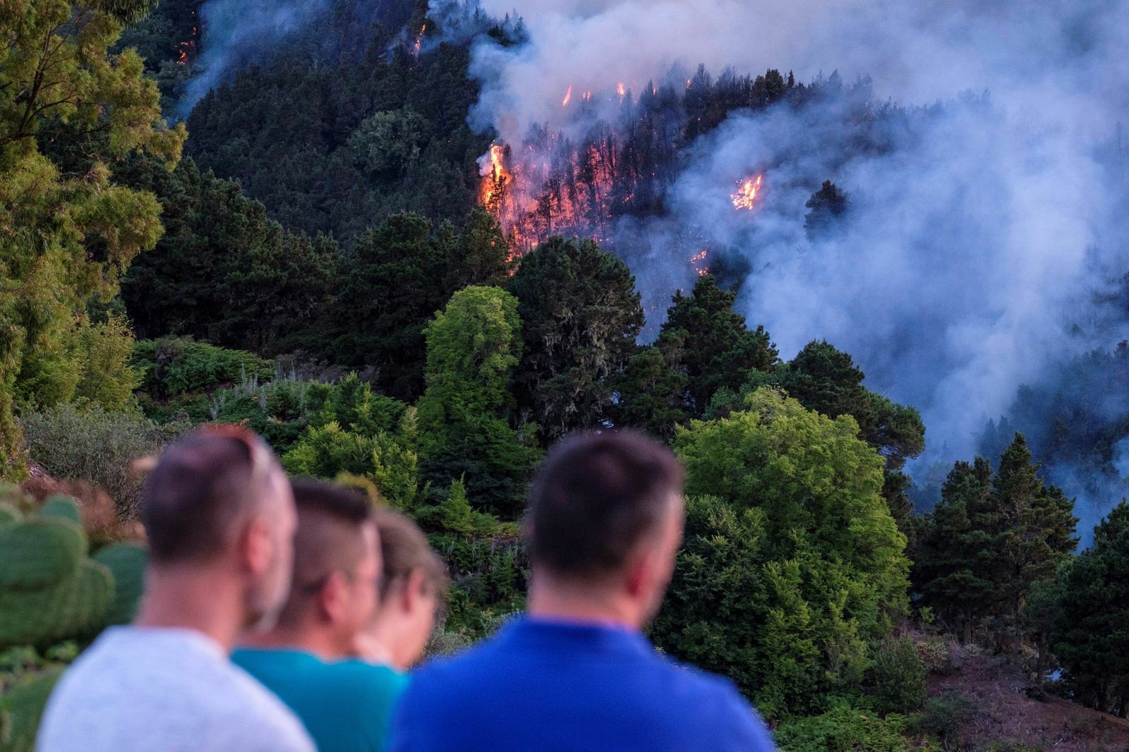 Las imágenes del incendio forestal en Gran Canaria.