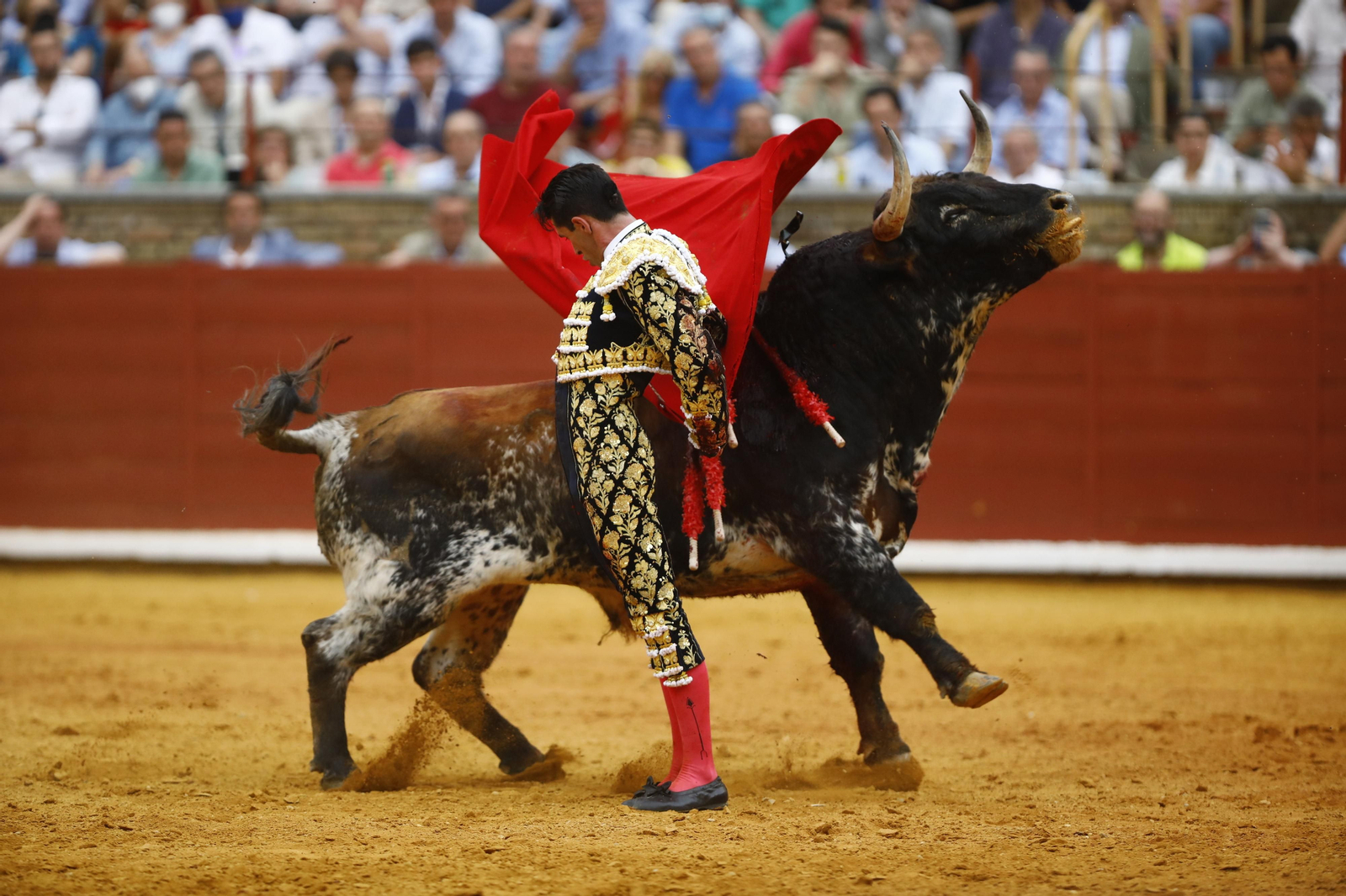 La corrida de Talavante, Roca Rey y Lagartijo, en Córdoba, en imágenes
