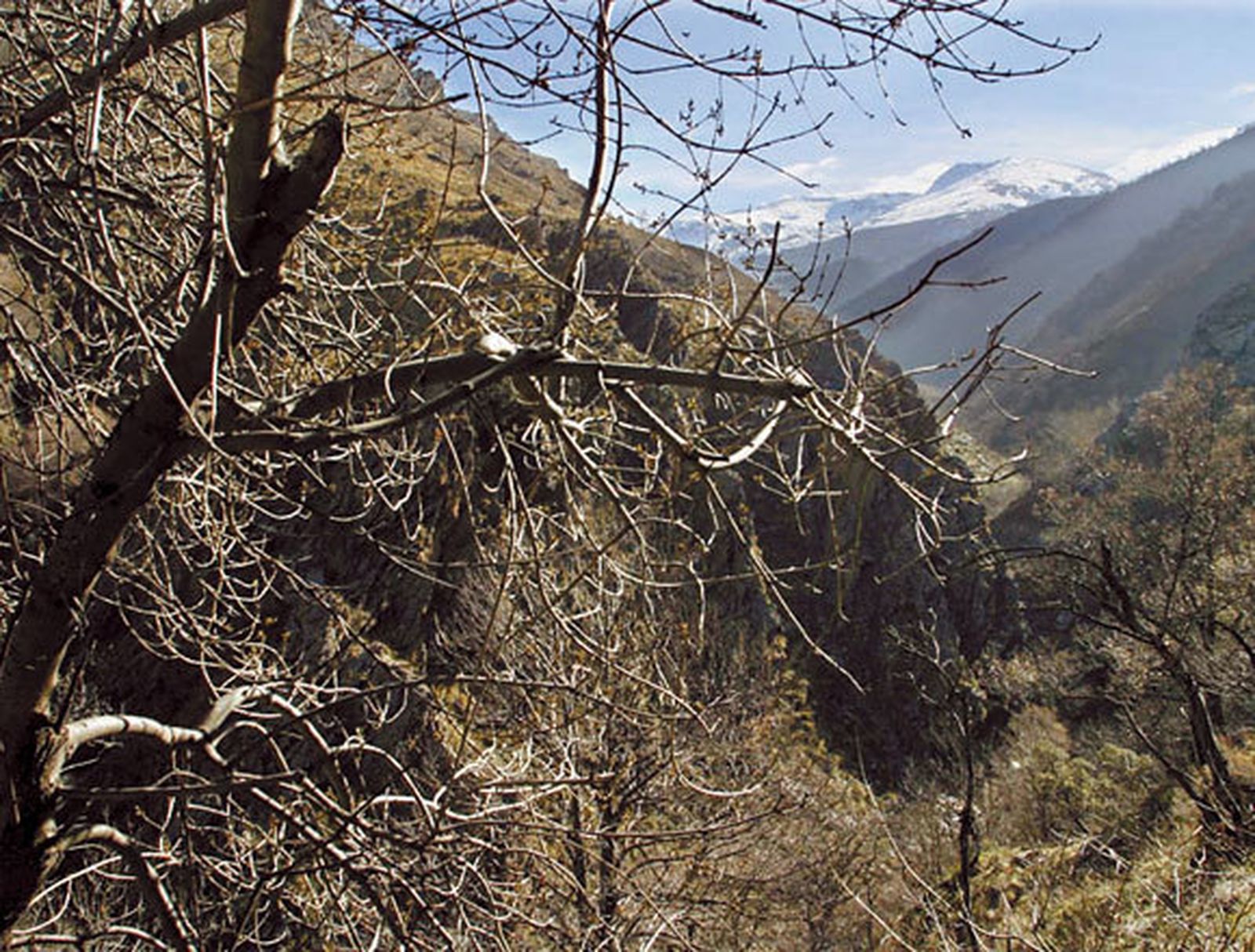 Los caminos de Sierra Nevada