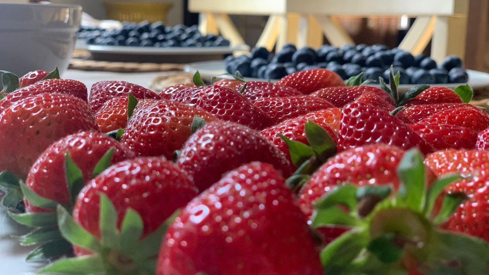 Catas de berries, la nueva propuesta de El Ranchito