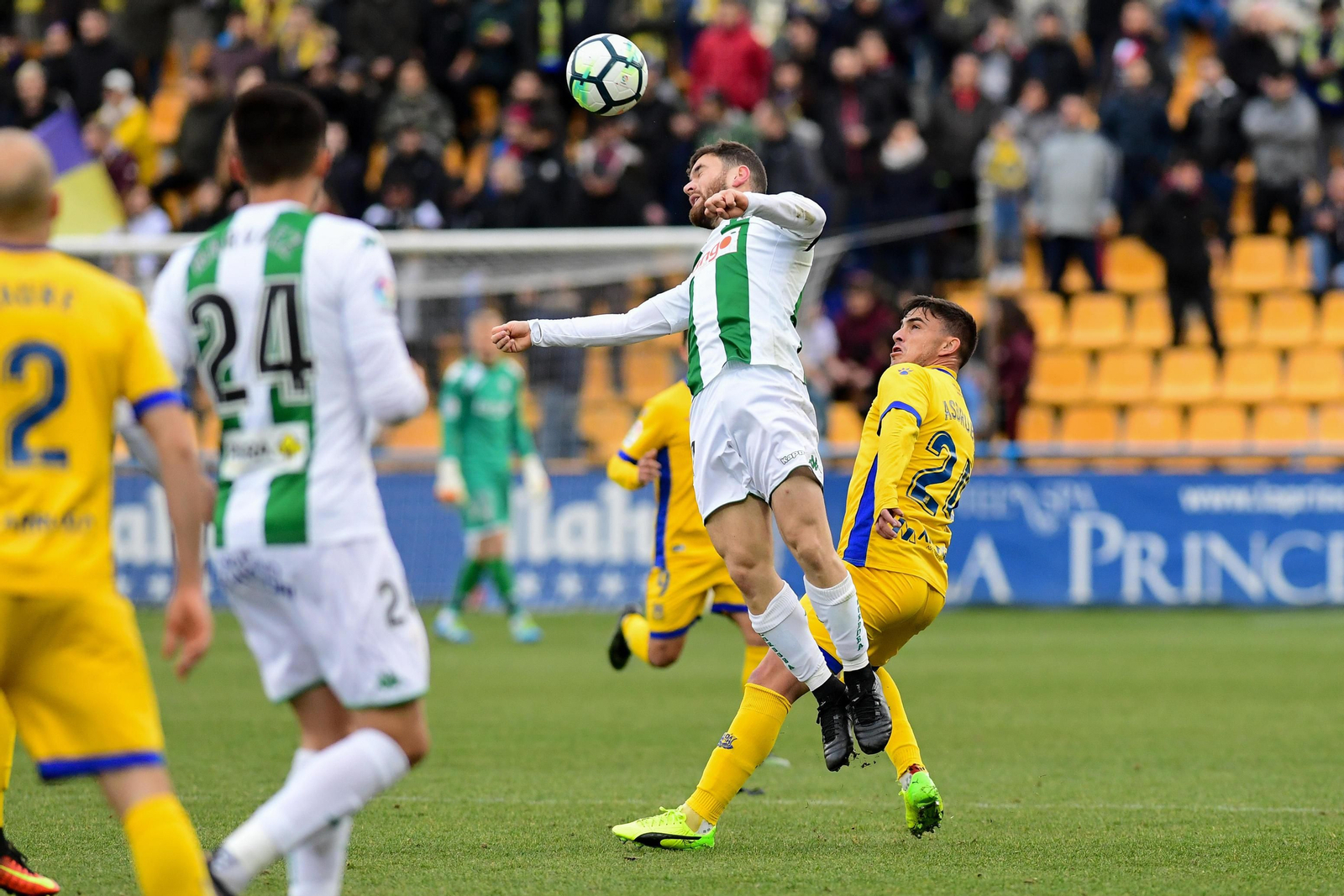 Las imágenes del Alcorcón-Córdoba