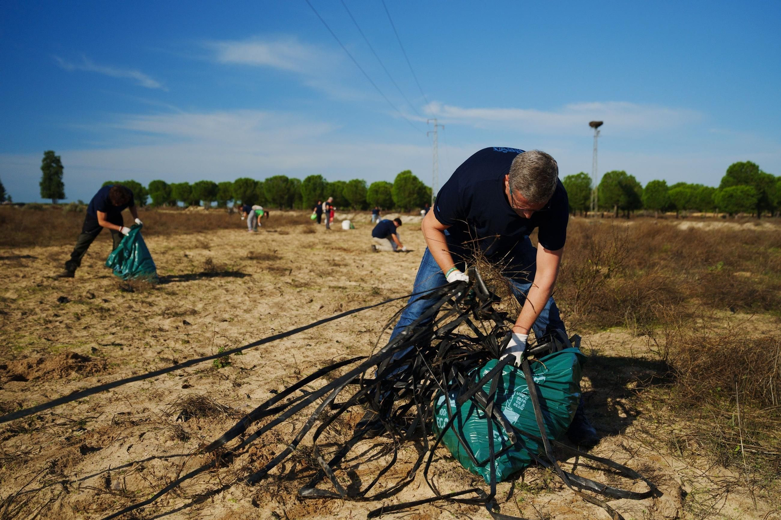 Voluntarios limpiando en el entorno de Doñana.