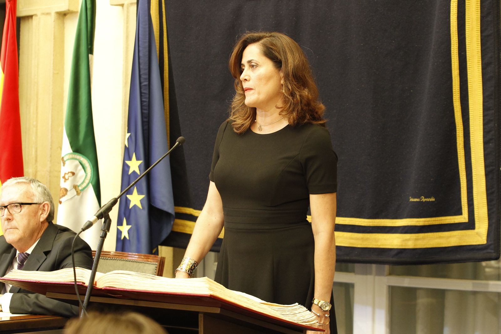 Pleno investidura Presidente Diputación de Almería. Javier Aureliano García