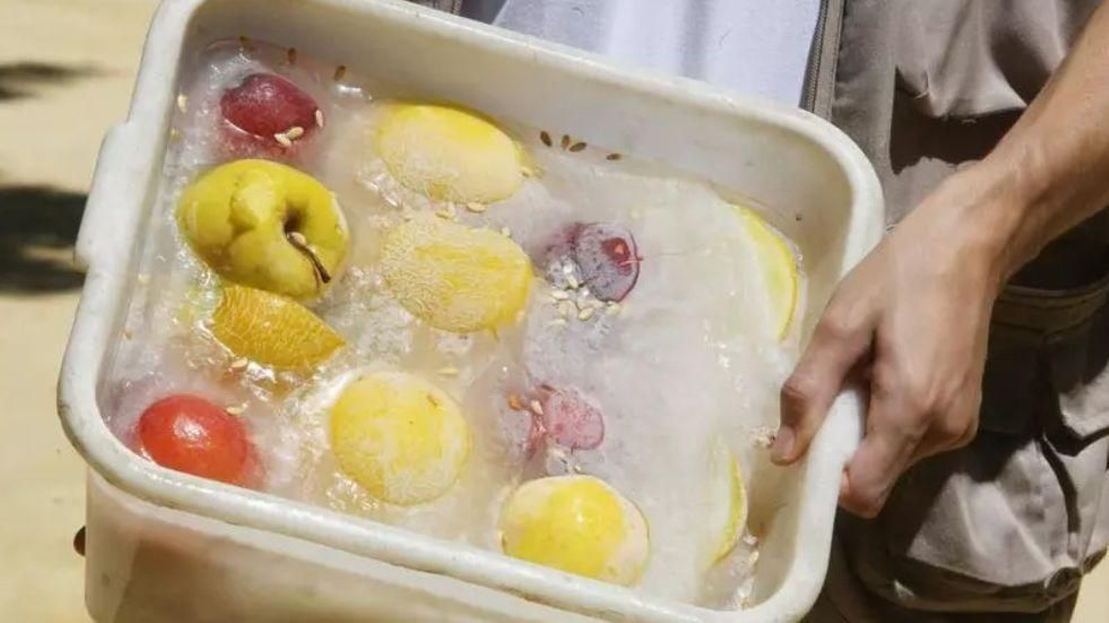 Helados elaborados con verduras y frutas en el Zoobotánico