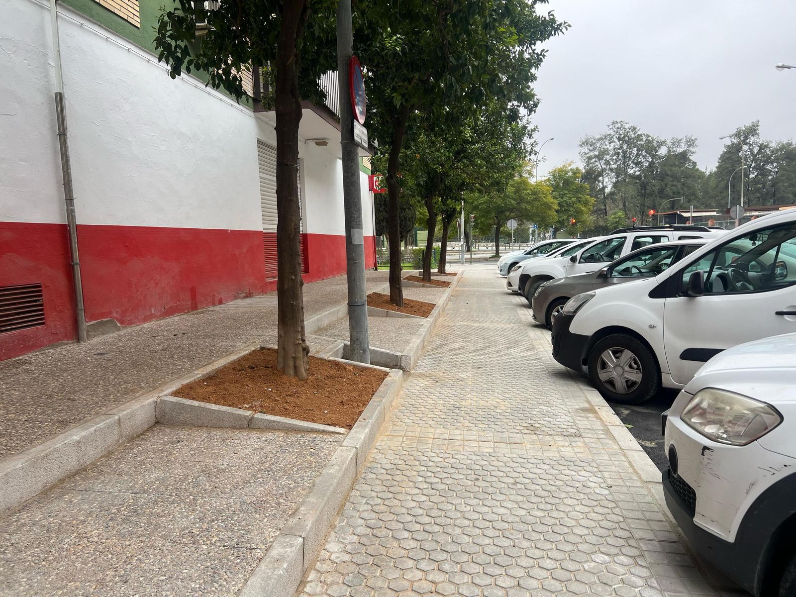 El resultado de las obras en la calle Cañadul