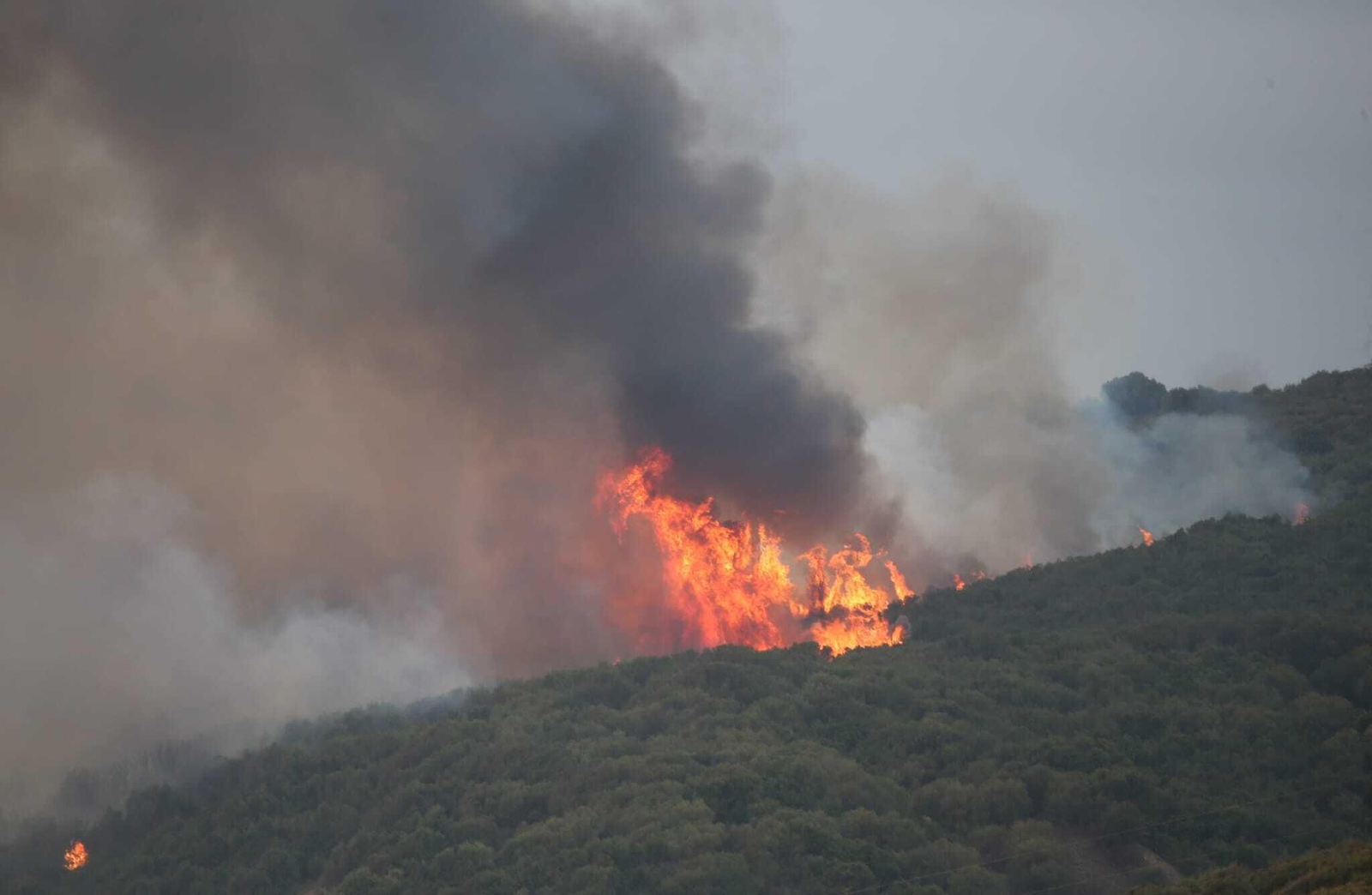 Las fotos del incendio entre las Pantallas y la Marchenilla, en Algeciras