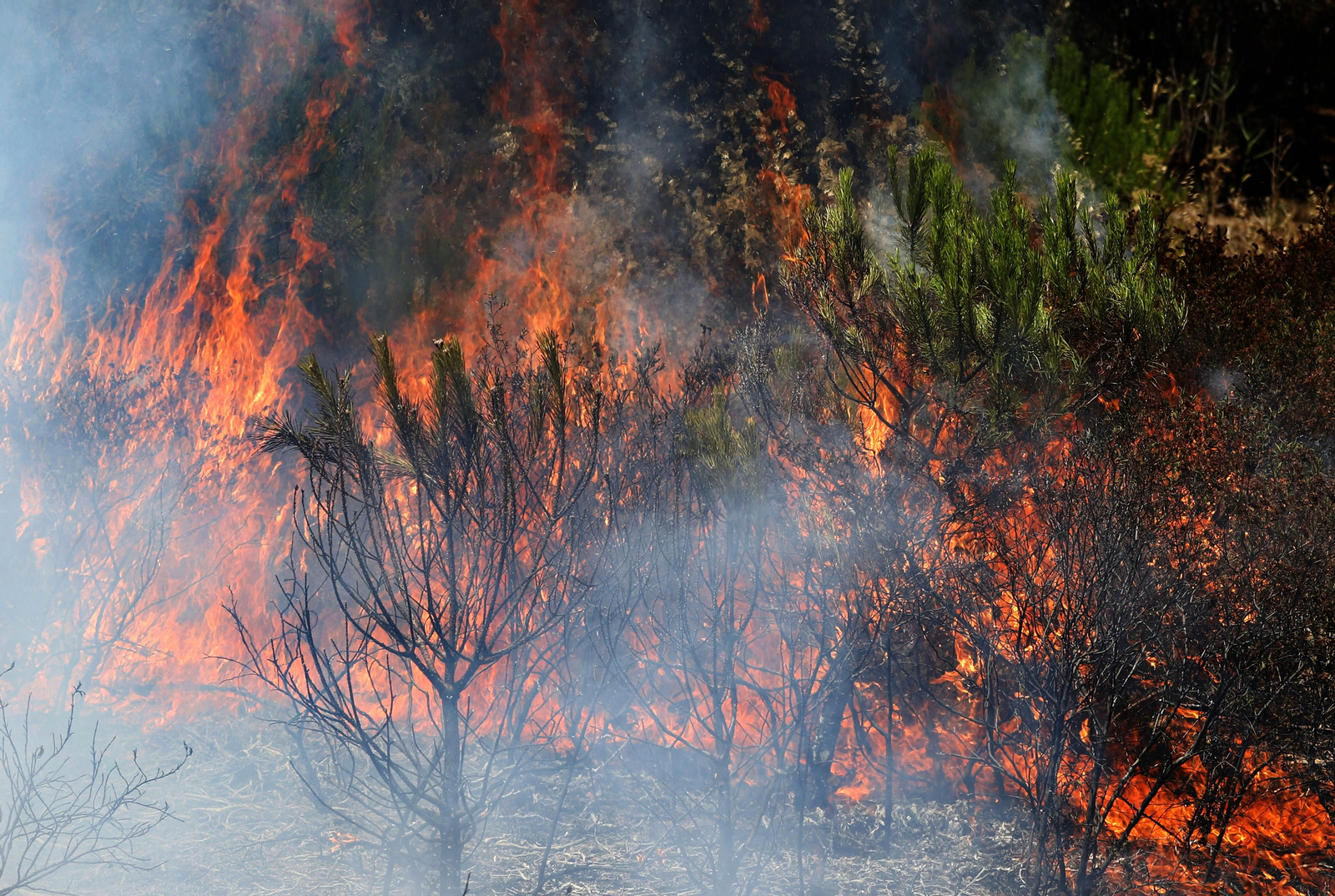 Imágenes del espectacular incendio entre en el paraje de la raya de Aljaraque y Marismas del Odiel