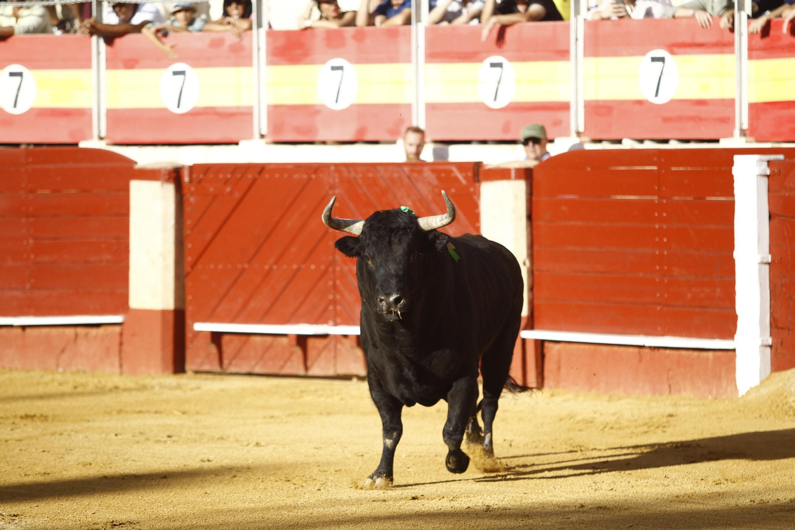 Las mejores imágenes de los toreros Fortes, Juan Ortega y David de Miranda en la Feria de Almería 2025