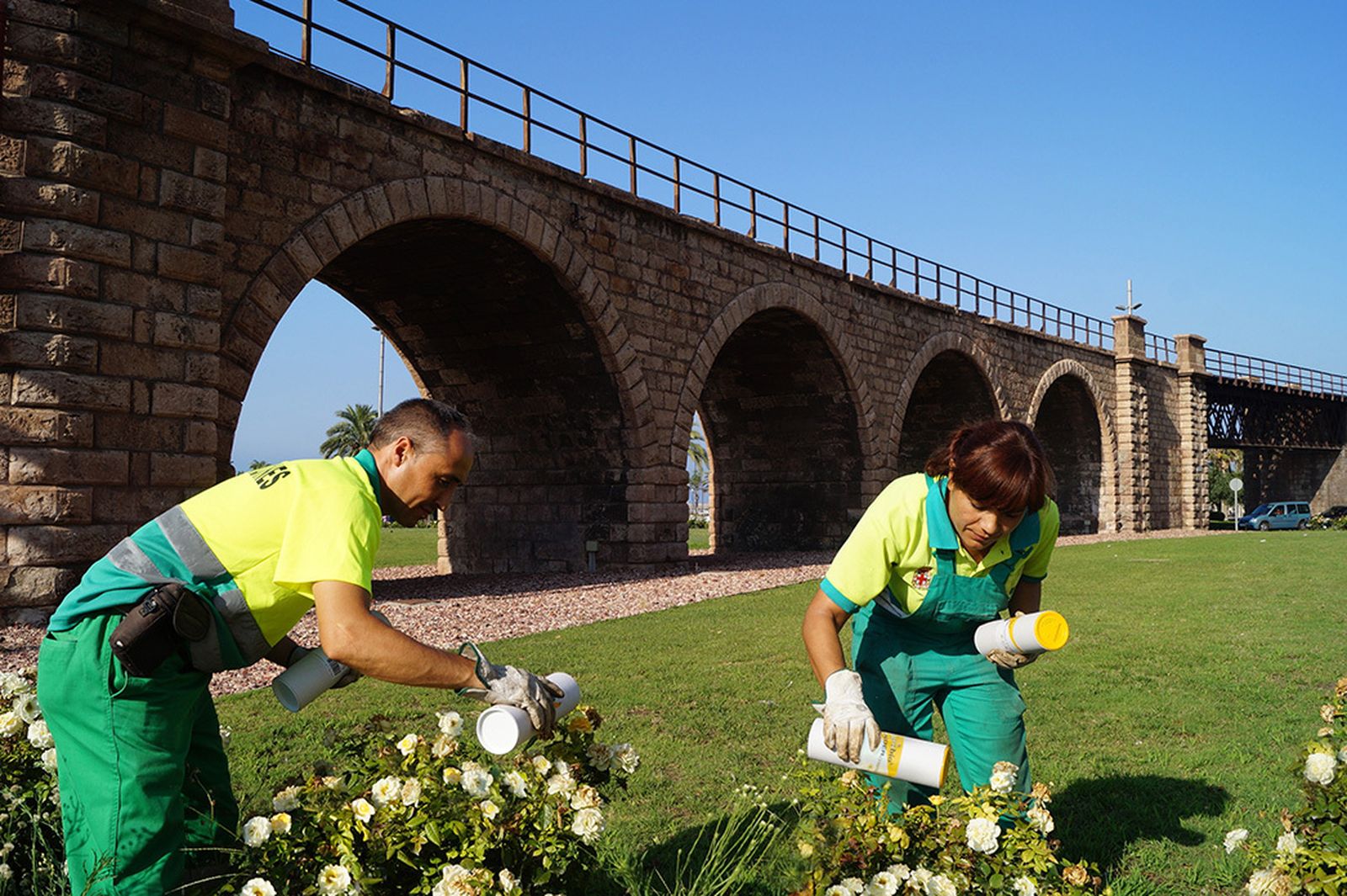 Dos jardineros, de la actual plantilla de 139 trabajadores, echan un producto natural de control biológico en rosales.