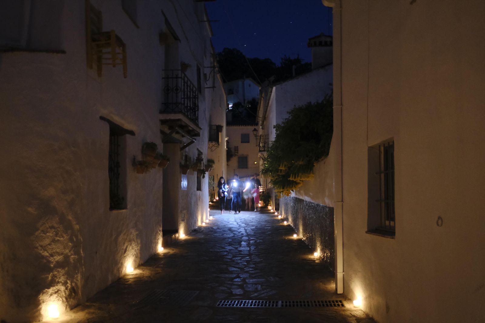 Bosque Encatando de Parauta, una noche mágica en fotos.