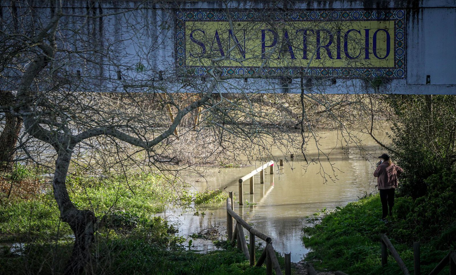 Un día tranquilo en el rio Guadalete, en imágenes