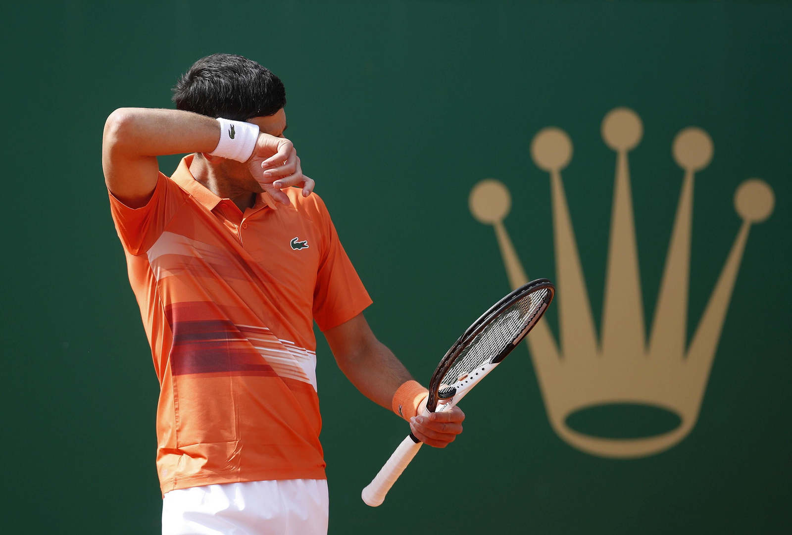 Las fotos del Djokovic-Davidovich