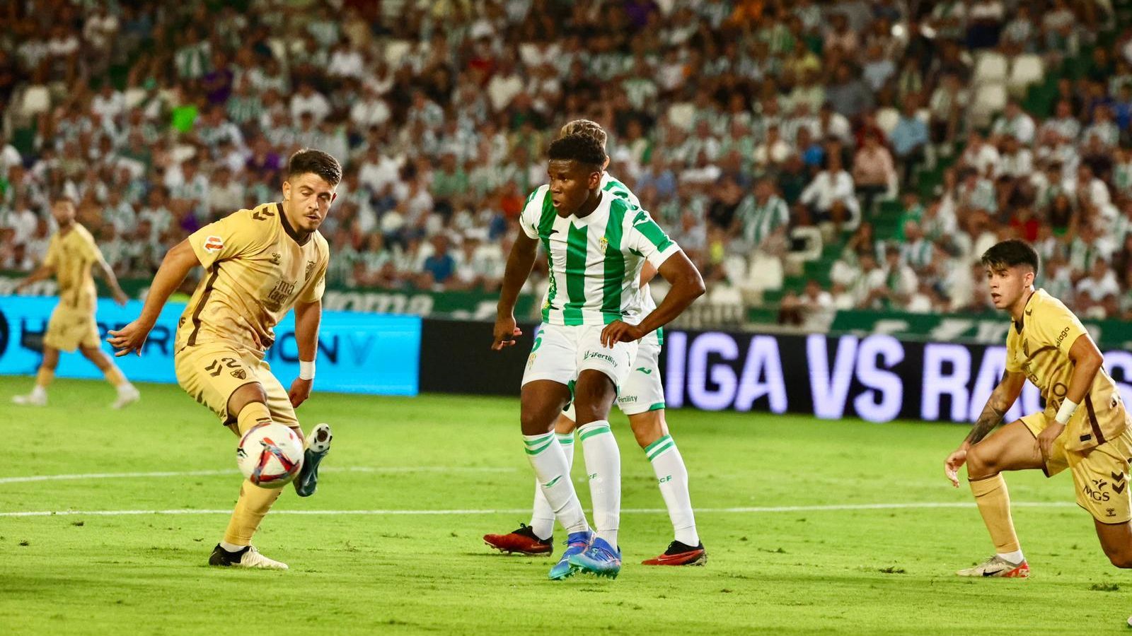 El Córdoba - Málaga CF, en fotos