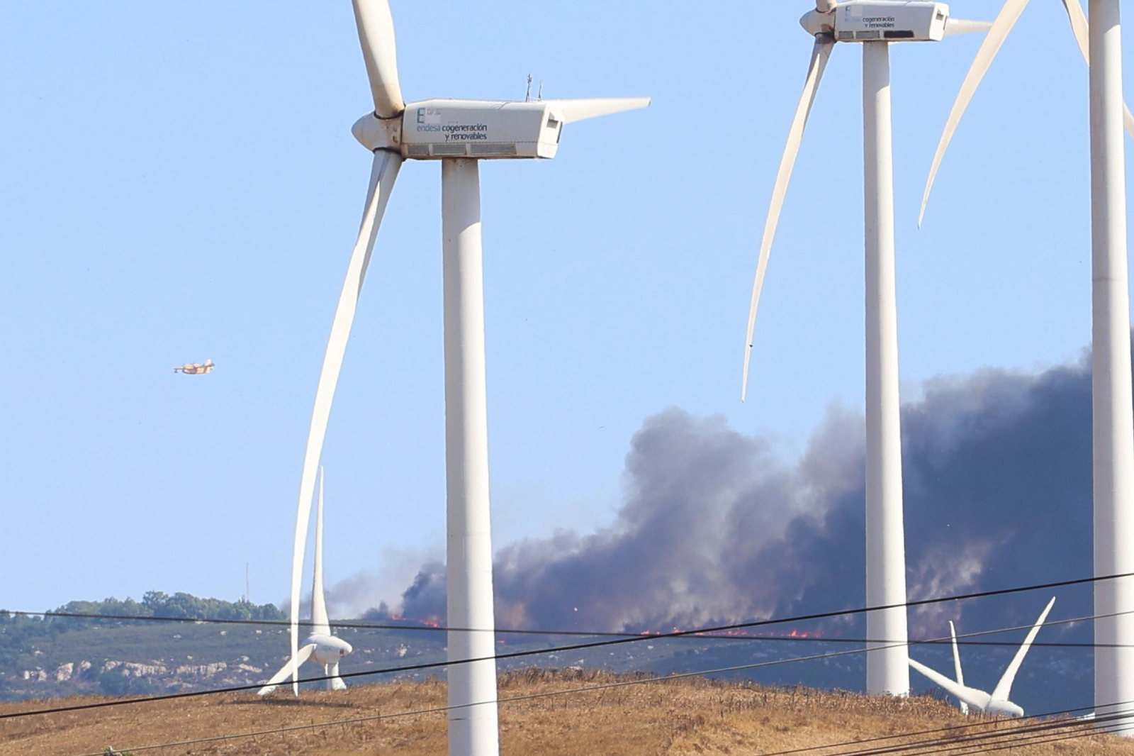 Las fotos del incendio forestal en la Sierra de la Plata de Tarifa