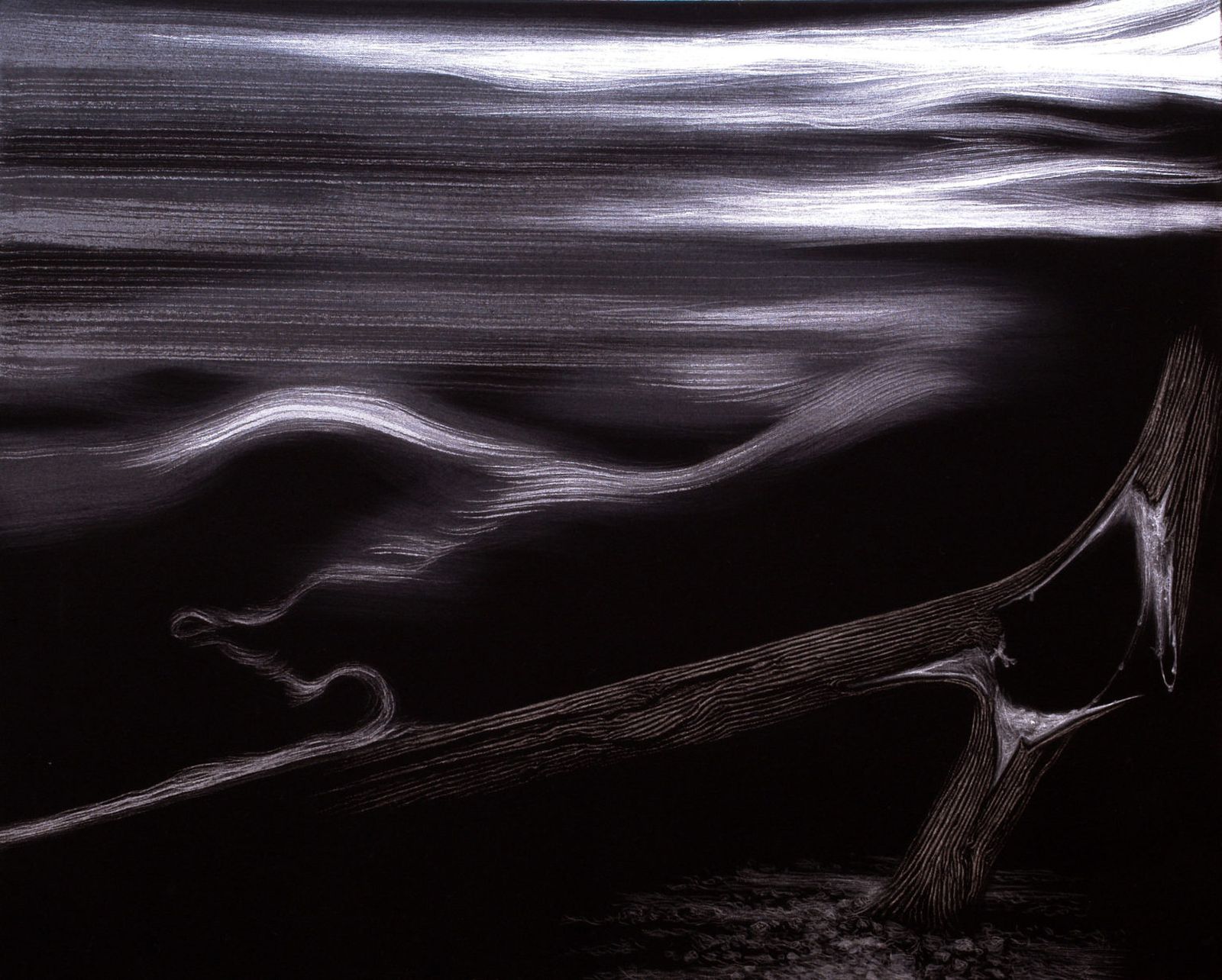 Obra de Jesús Zurita