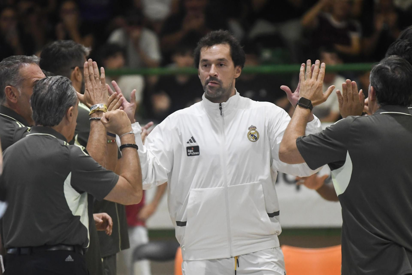 Sergio Llull.