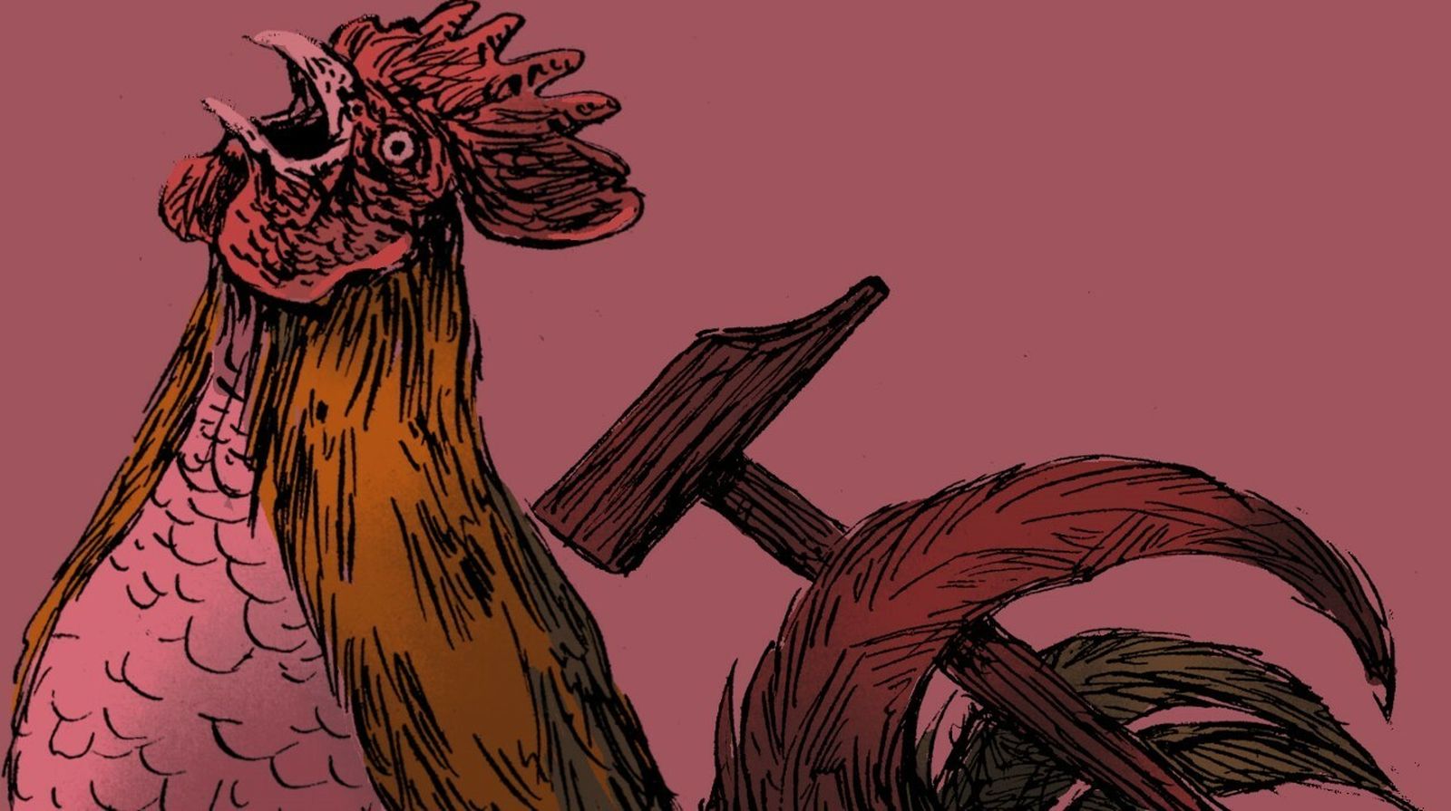 Crónica de una violación real