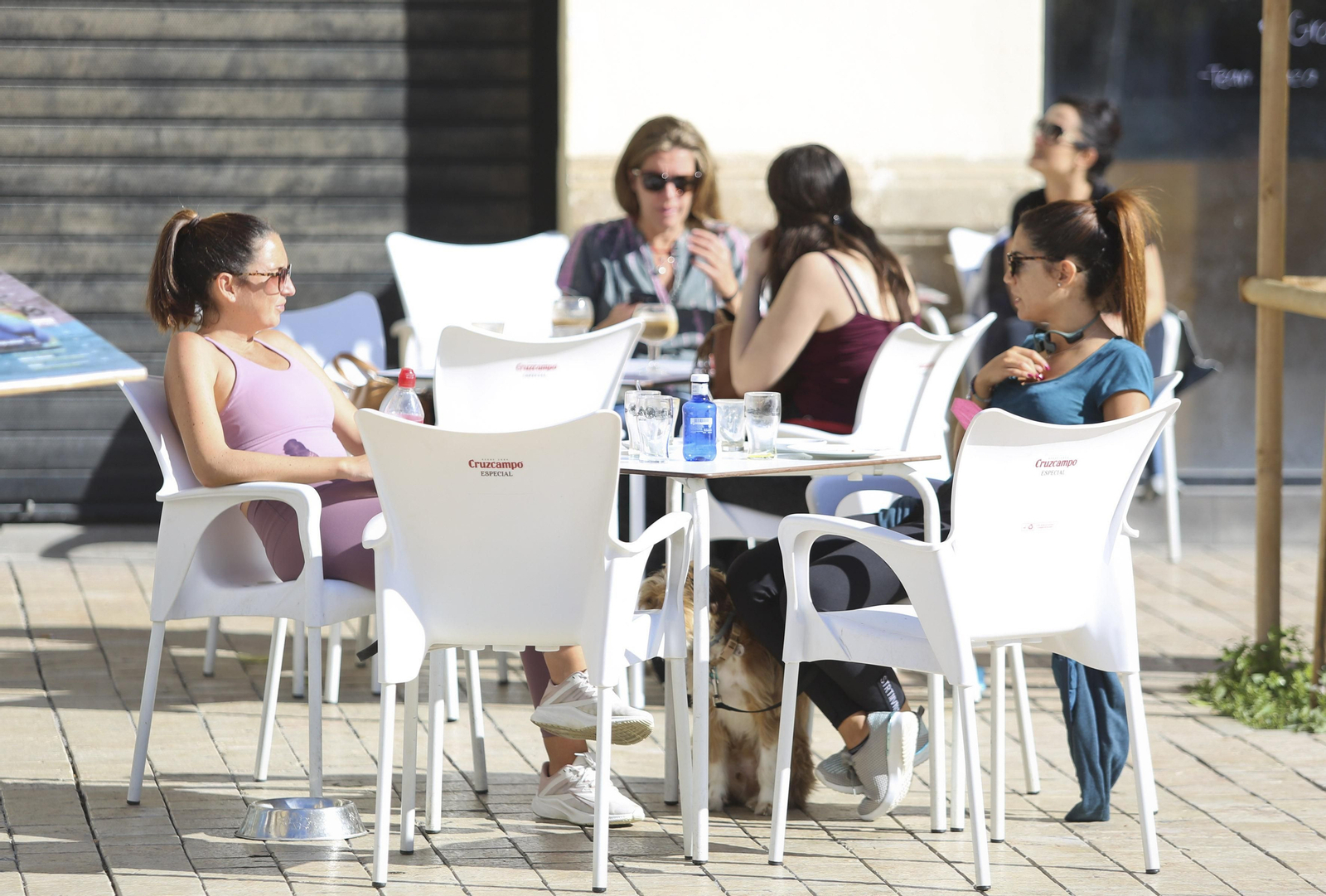 Fotos: Sol, playa y terrazas en un final de enero atípico en Málaga