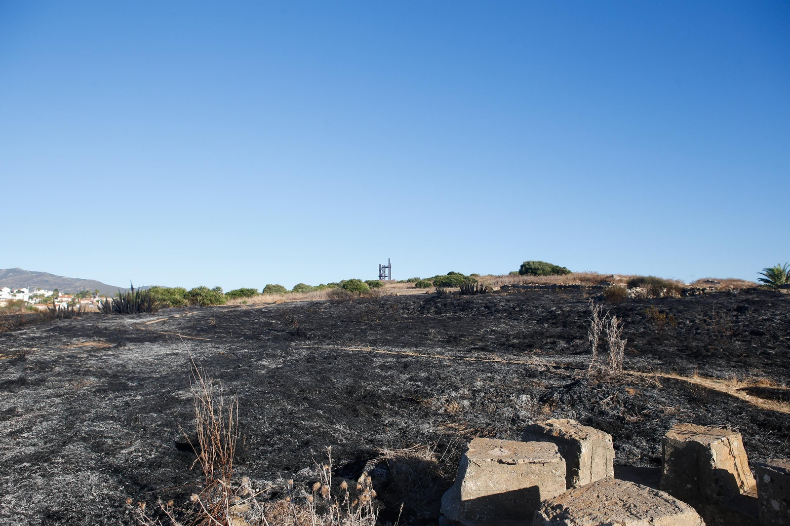 Daños en el Parque Centenario de Algeciras tras el incendio nocturno, en imágenes