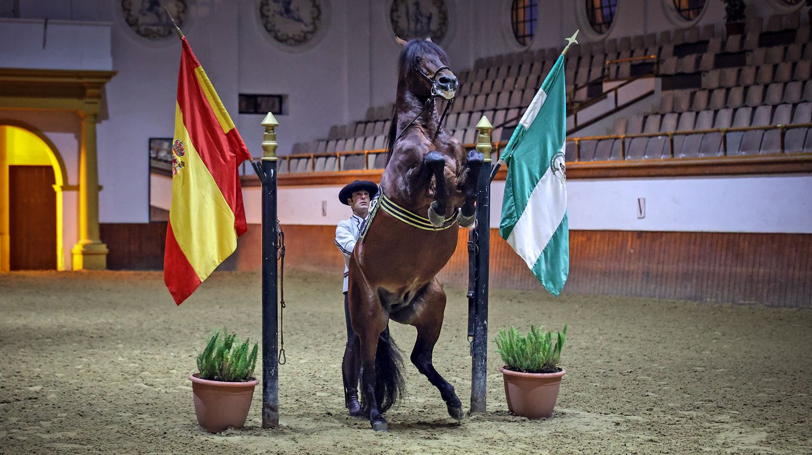 Yente,  el caballo de Jerez mas famoso del mundo