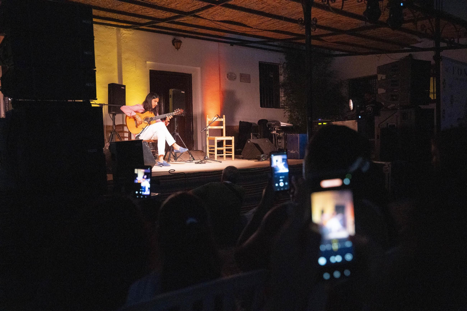 Las mejores imágenes del Festival de Flamenco en Fondón