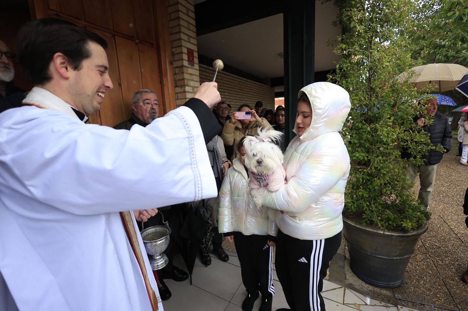 Las fotografías de la bendición de las mascotas por San Antón 2026