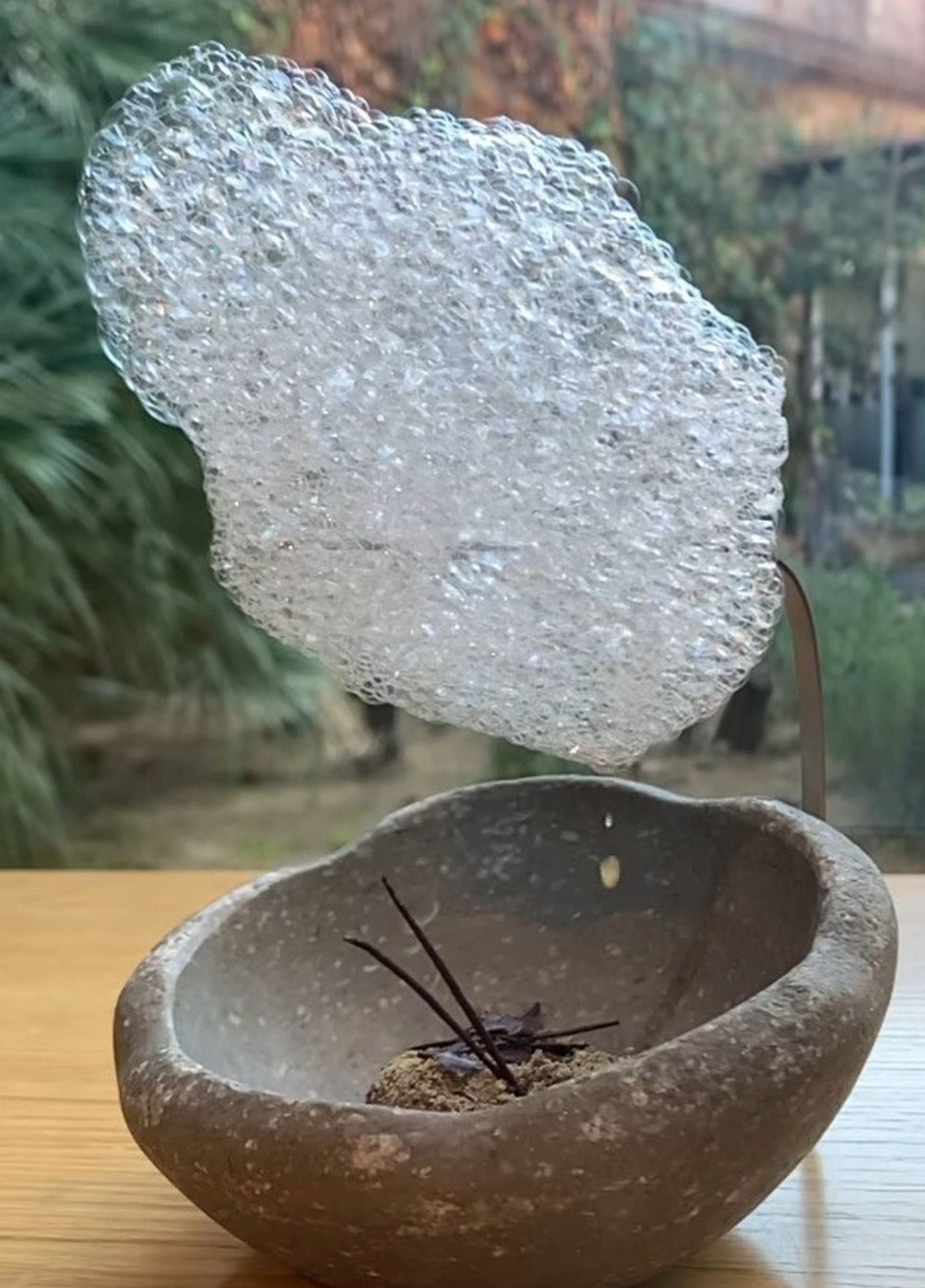 Imagen del plato de nube de setas y miel sobre cumble de trompetas de la muerte