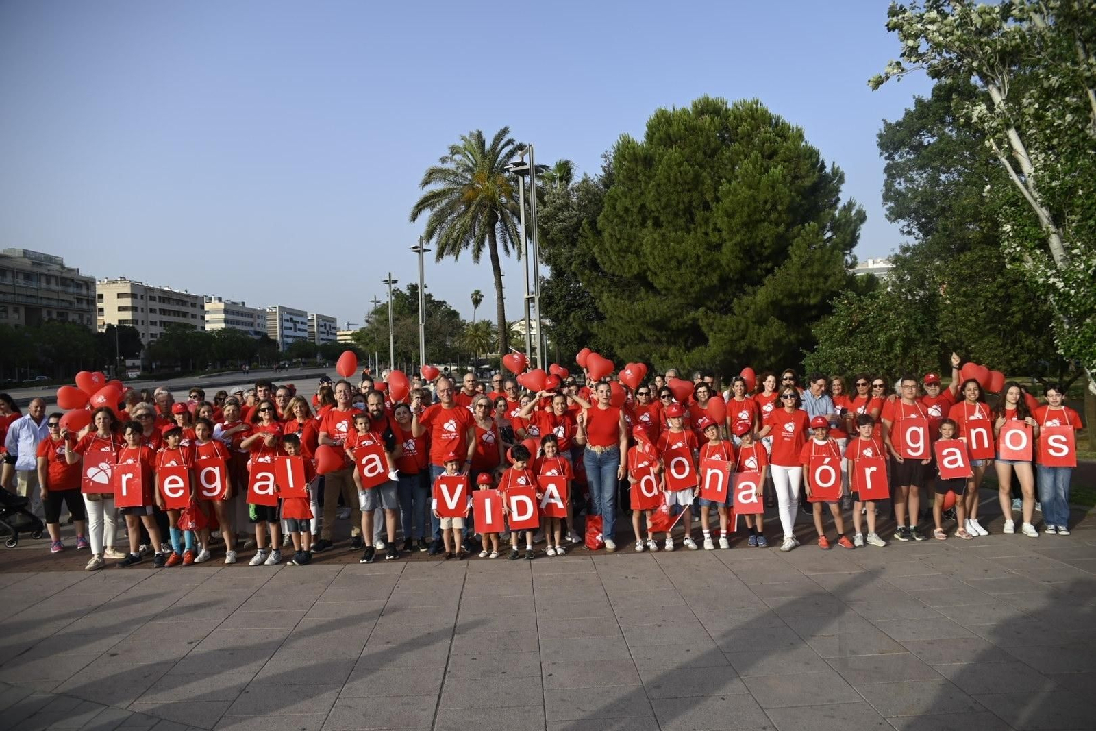 Las mejores fotos de la marcha que cierra la XXII Semana de la Donación en Córdoba