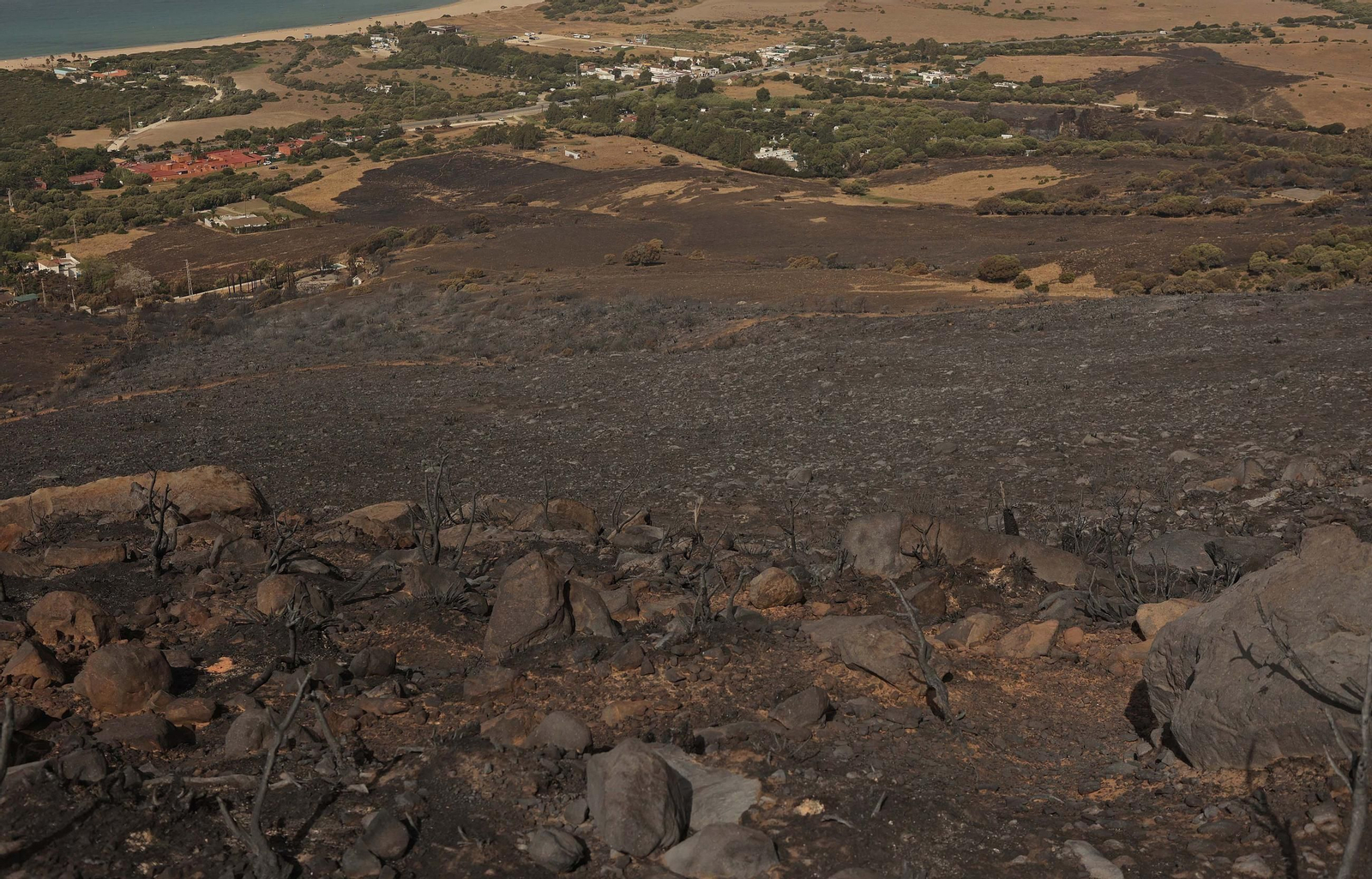 Fotos de los efectos del incendio en el monte de La Peña en Tarifa