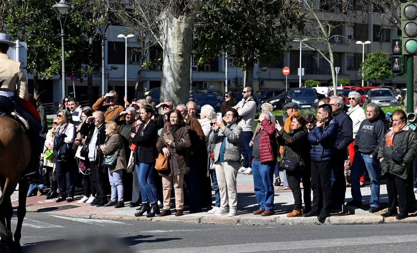 Las mejores fotografías la Marcha Hípica 'Córdoba a Caballo' por el 28F