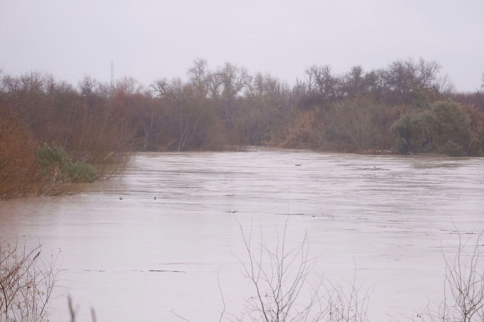 Los vecinos de la parcelación de Guadalvalle de Córdoba miran con temor la crecida del Guadalquivir