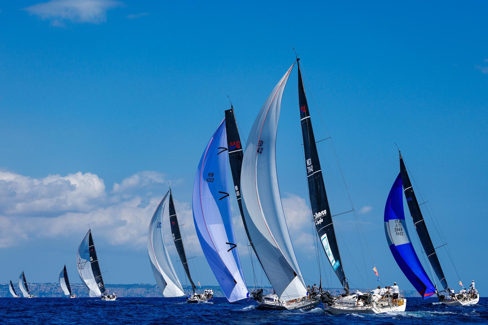 ORCA A Vela Regata (10).jpg