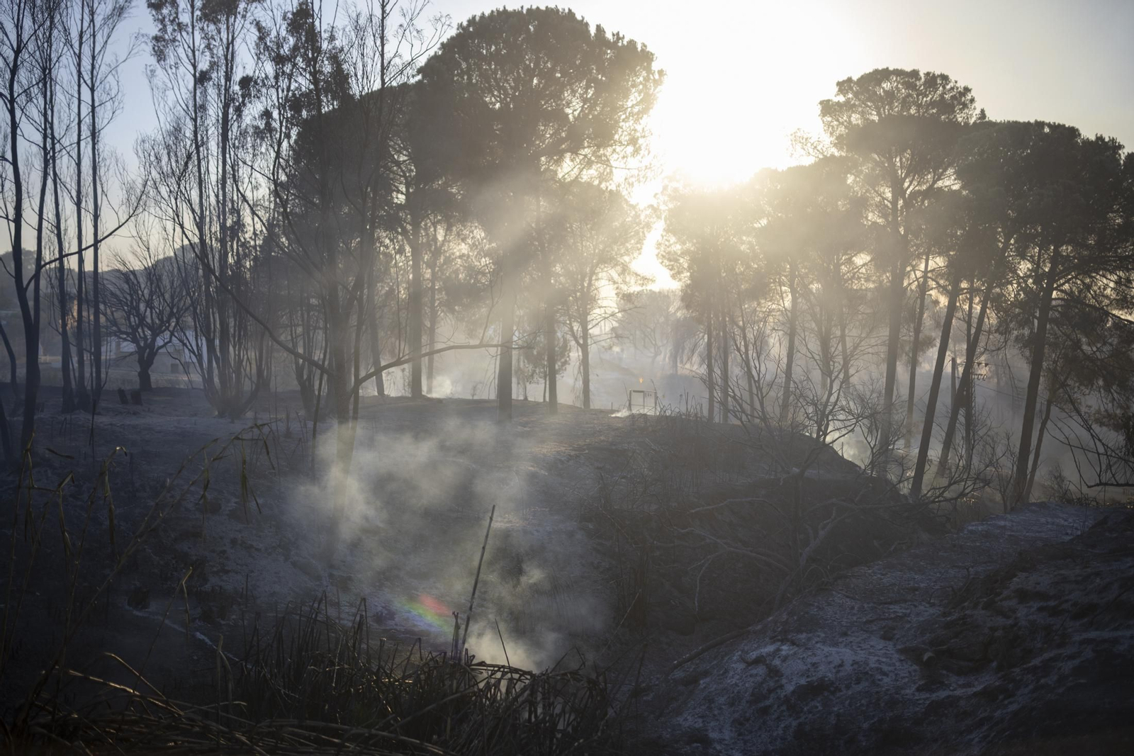 Imágenes del incendio de Bonares