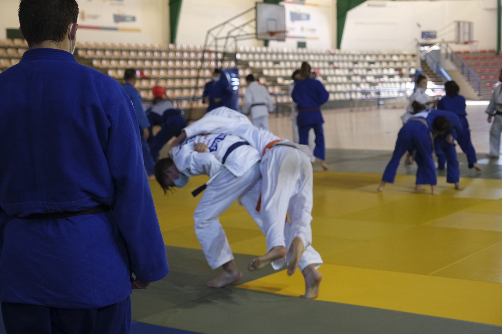 Fotogalería X Campus Internacional de Judo Ciudad de Almería