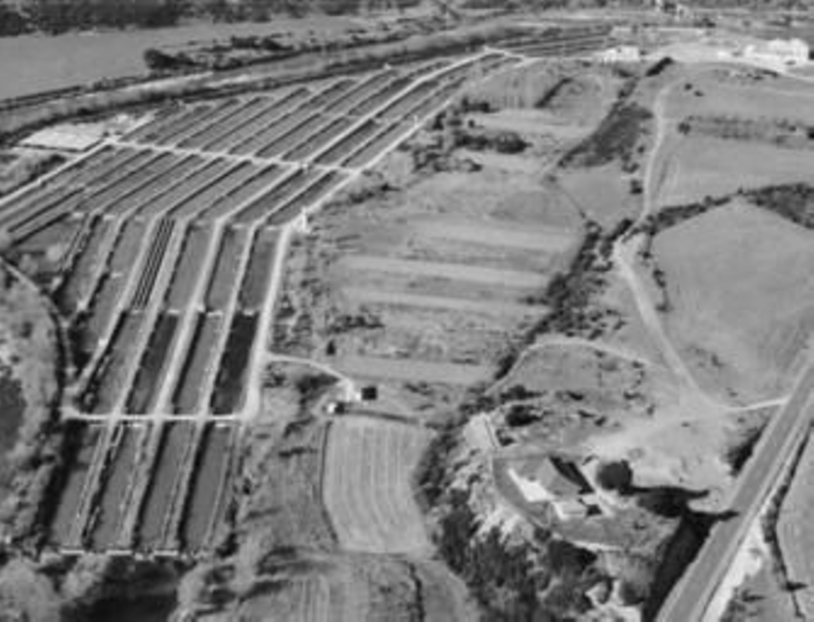 Imagen de la piscifactoría de Yesa, adquirida en abril, a la que la compañía granadina lleva desde el pasado mes las primeras hembras de esturión.