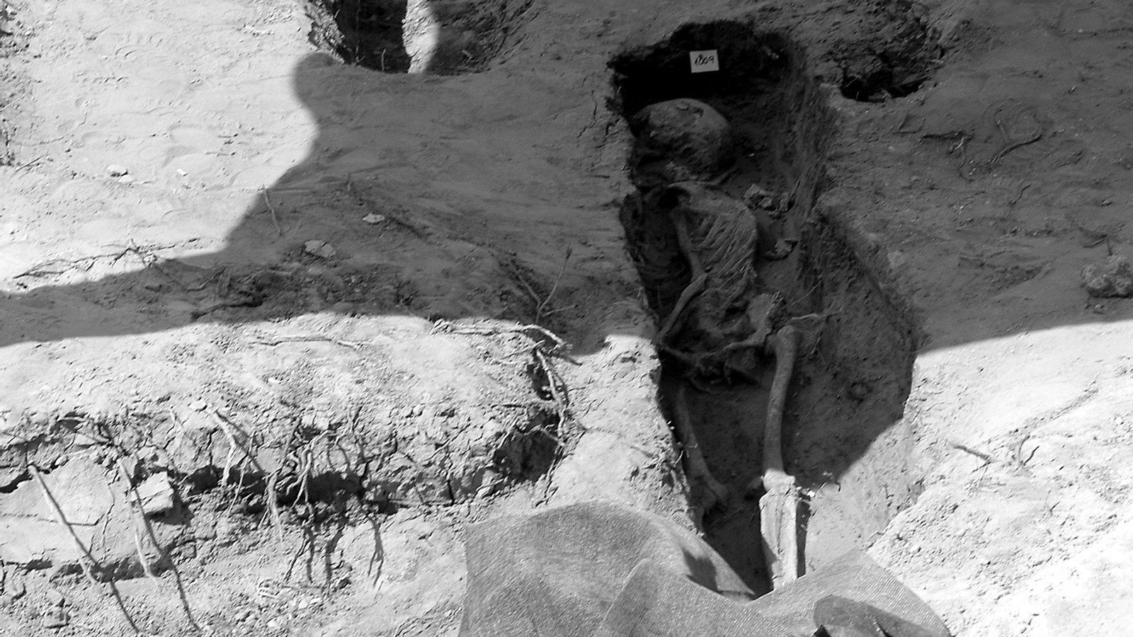 Uno de los hallazgos del Arenal, en 2004.