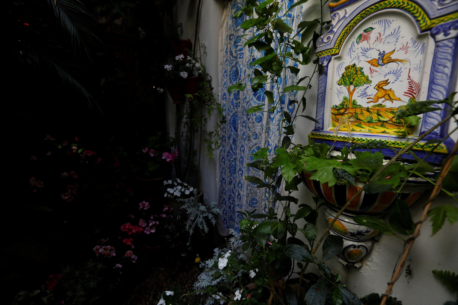 Los patios de Córdoba de la ruta Judería-San Francisco, en imágenes