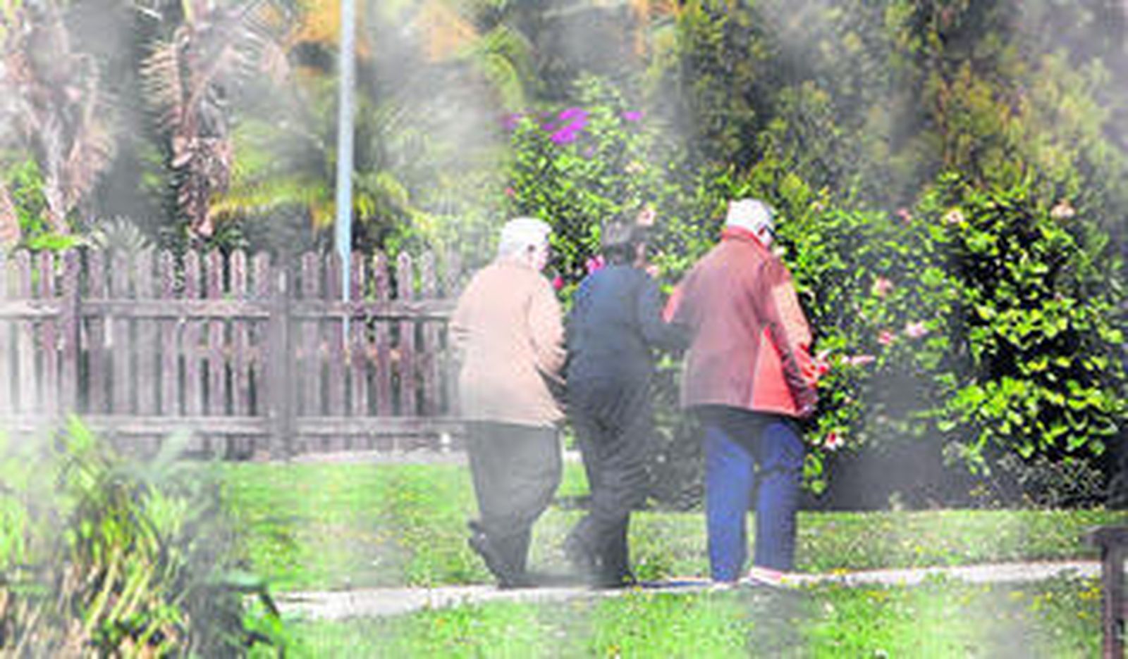 Tres mujeres residentes en las instalaciones del Novo Sancti Petri realizaban ayer su paseo matutino por la zona ajardinada.