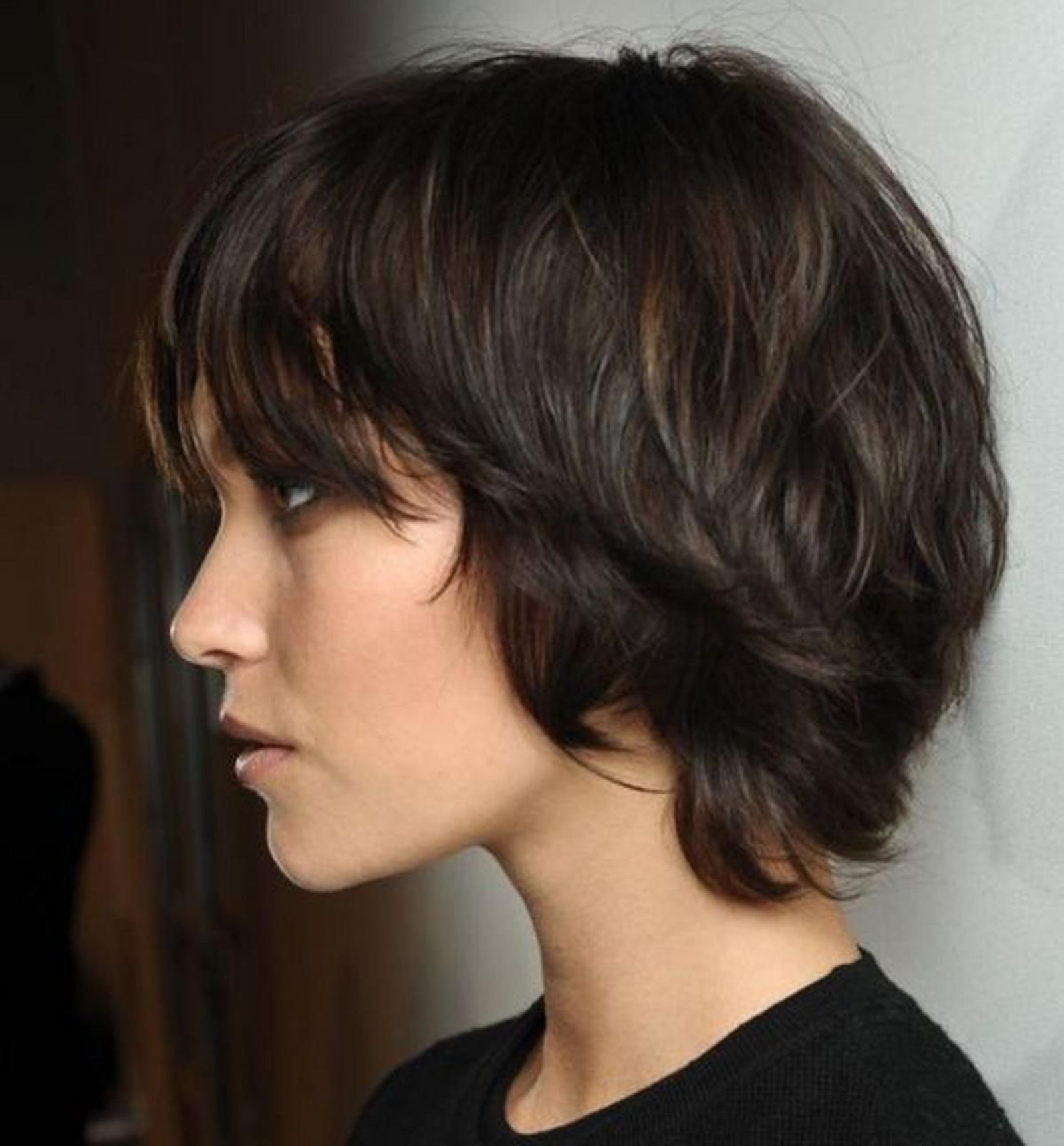 Corte de pelo bob cat. Corte de pelo bob cat.