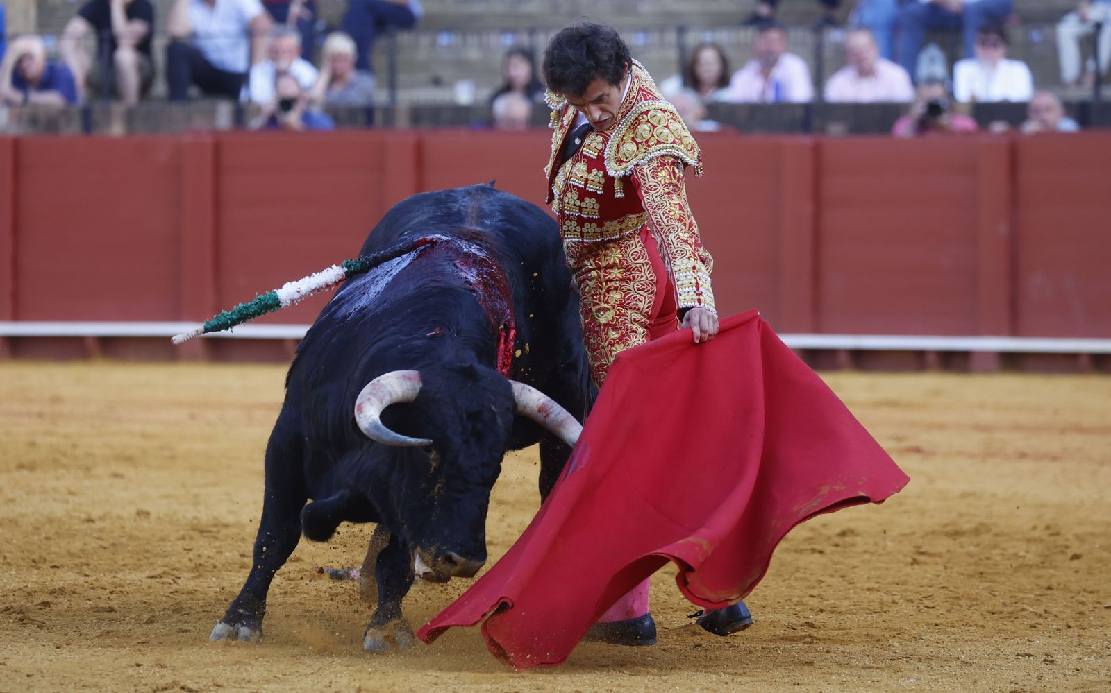 Las imágenes de la novillada en la Maestranza