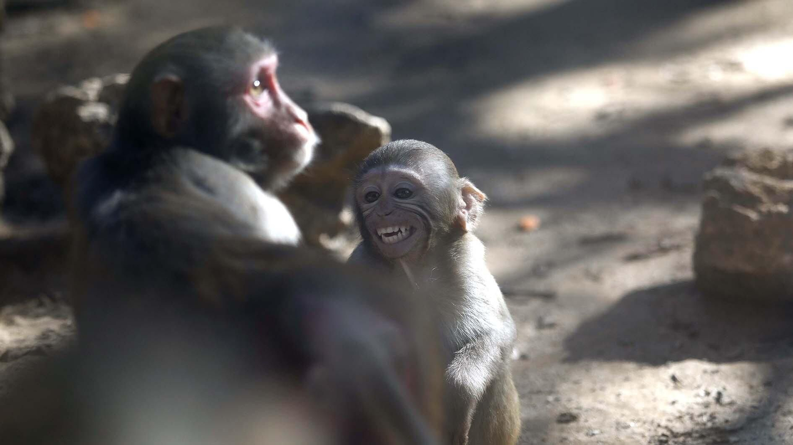 Las fotos del Zoo de Castellar de la Frontera