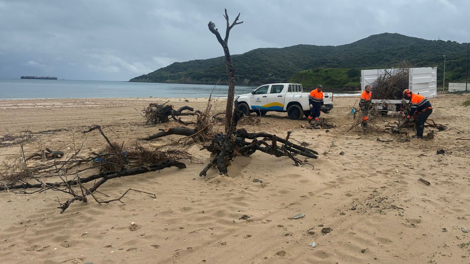 Operarios municipales y maquinaria trabajan estos días en la limpieza integral de la arena de la playa de Getares para dejar el litoral en perfectas condiciones de cara a la próxima Semana Santa.