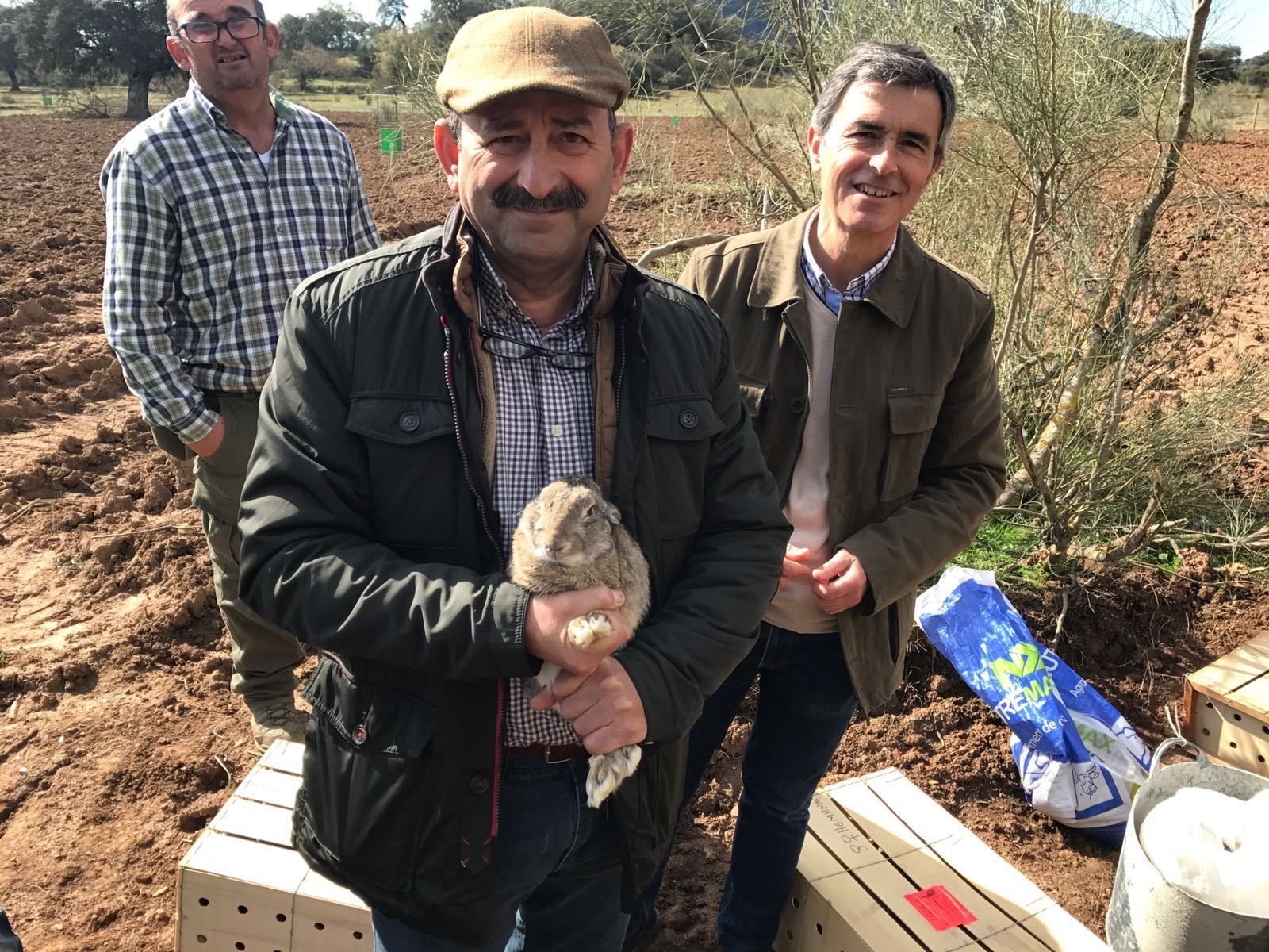 La Junta libera 50 conejos en una finca de Algodonales
