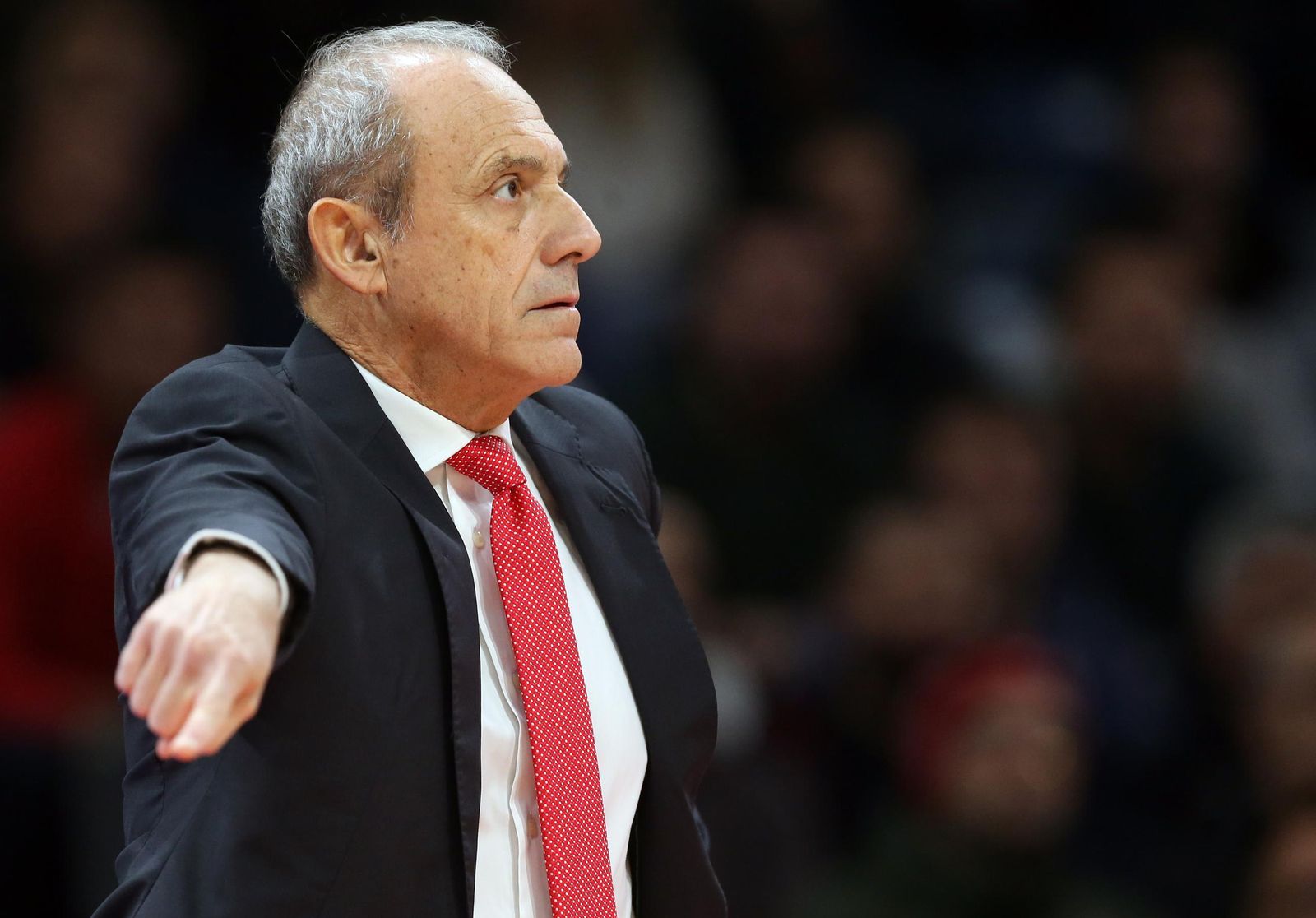 Messina, en un partido de Euroliga.