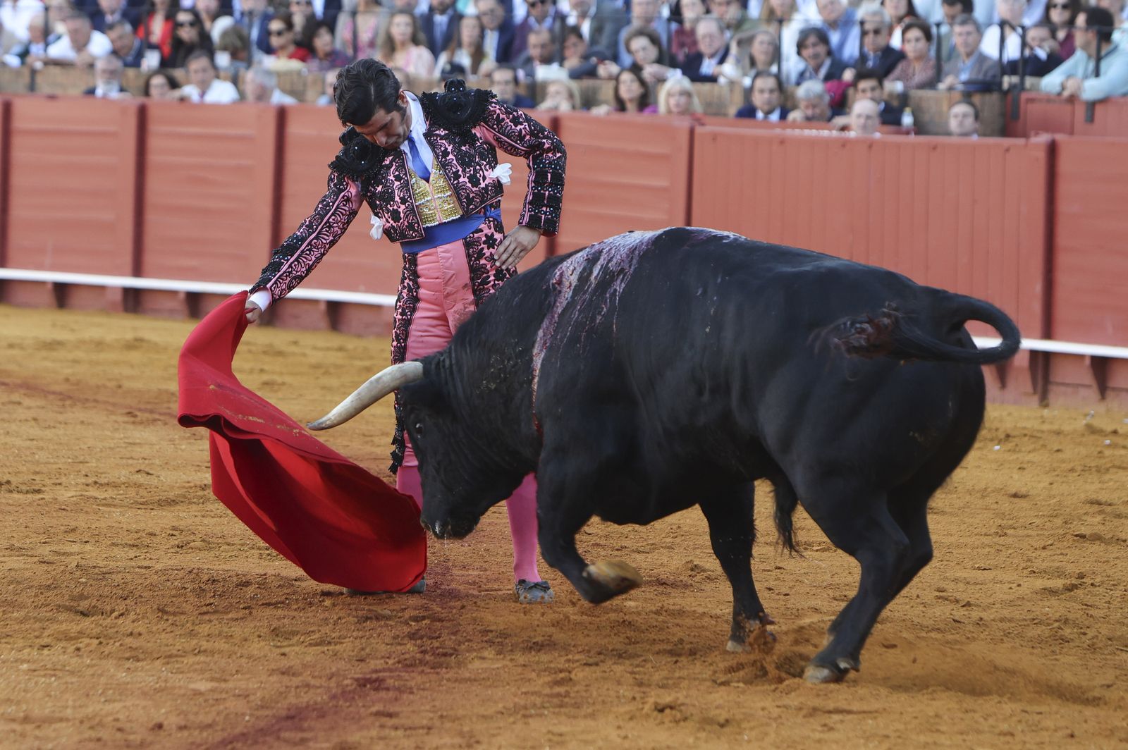 Corrida de toros de Morante de la Puebla, José María Manzanares y Pablo Aguado