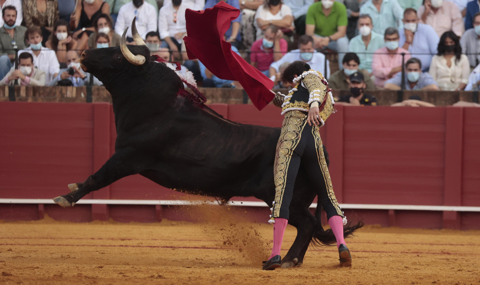 Las imágenes del triunfo de Morante en San Miguel